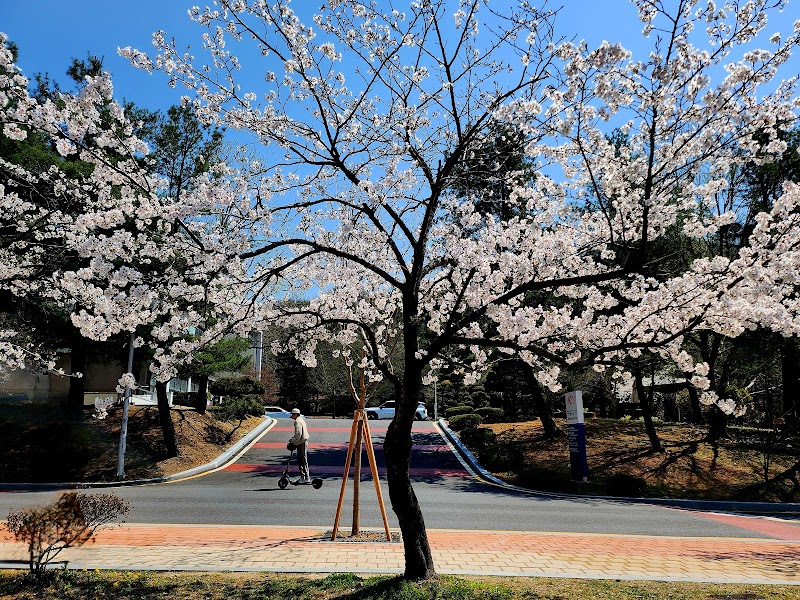 충남대학교