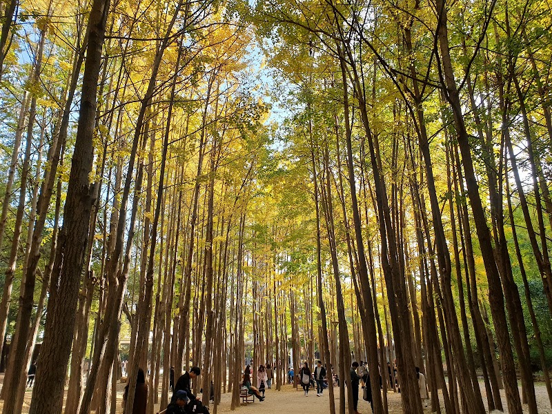 서울숲